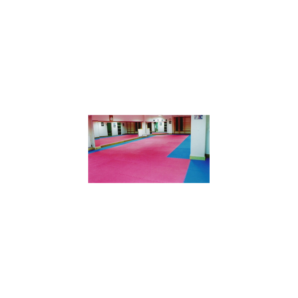 Tatami Daedo